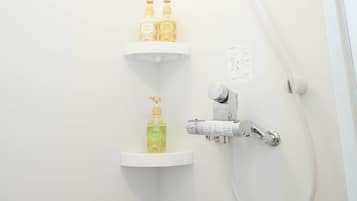 Shower, free toiletries, hair dryer, bidet