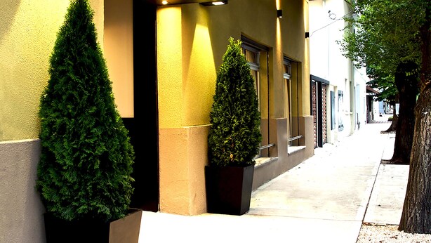 A building with a yellow facade, large potted evergreen trees, and a sidewalk. - Ribera Sur Mar del Plata (Mar del Plata)