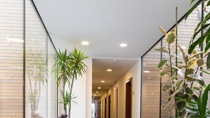 Un pasillo moderno con paredes de vidrio, plantas en macetas e iluminación empotrada.