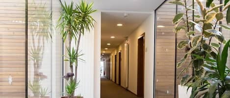 A modern hallway with glass walls, potted plants, and recessed lighting.