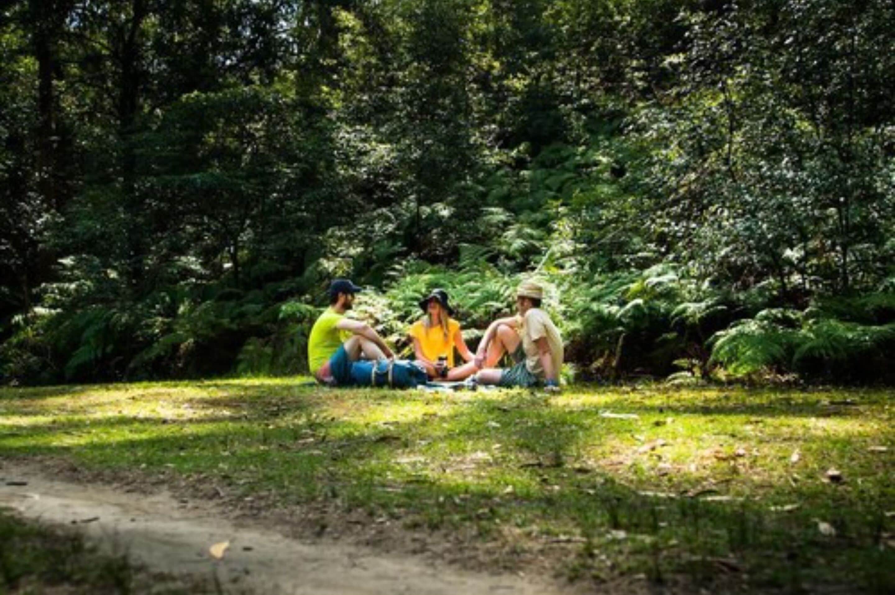Un groupe de personnes assises sur l’herbe, dans une zone boisée.