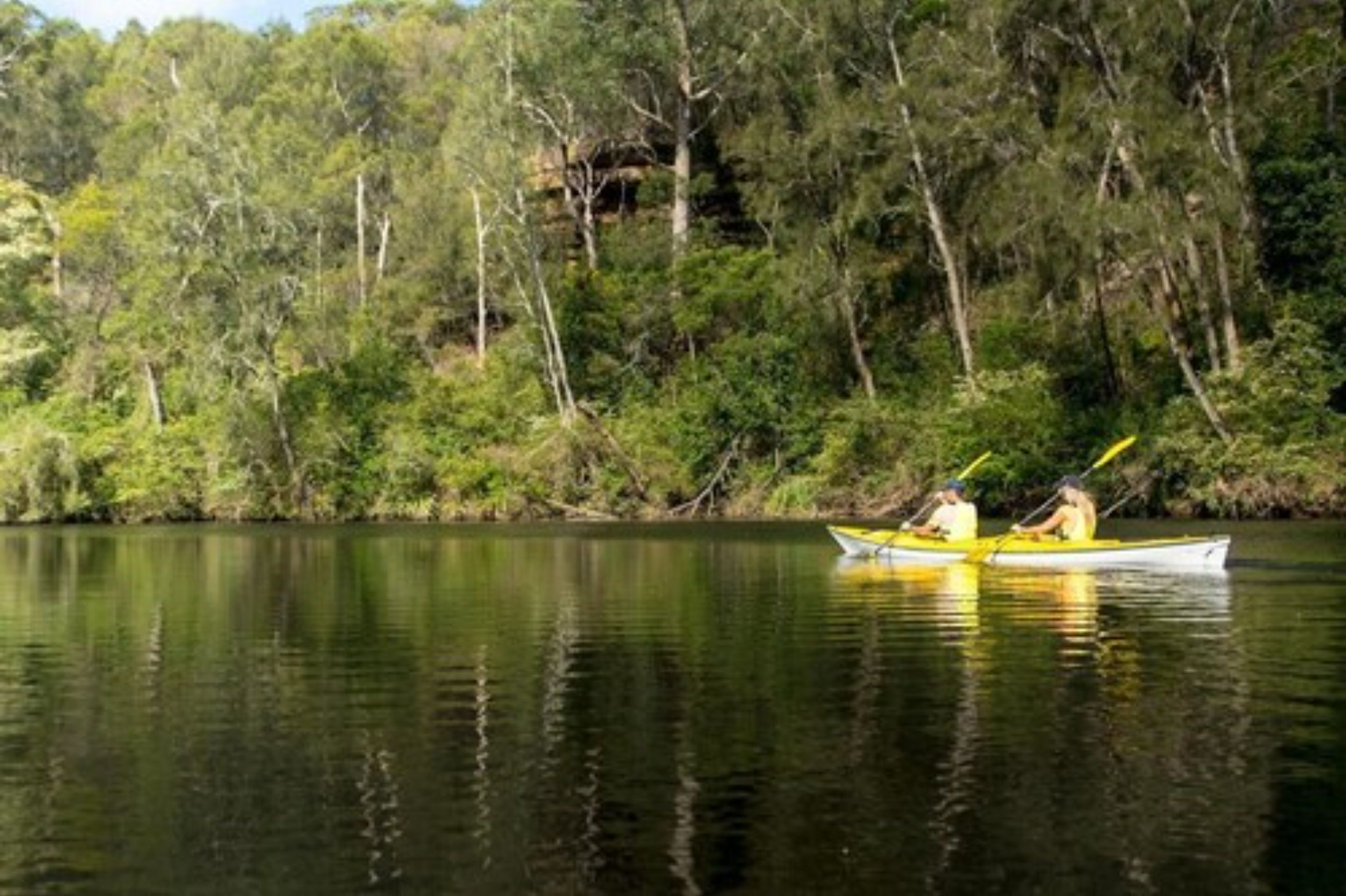 Dos personas en una canoa sobre un río tranquilo bordeado por un bosque denso.