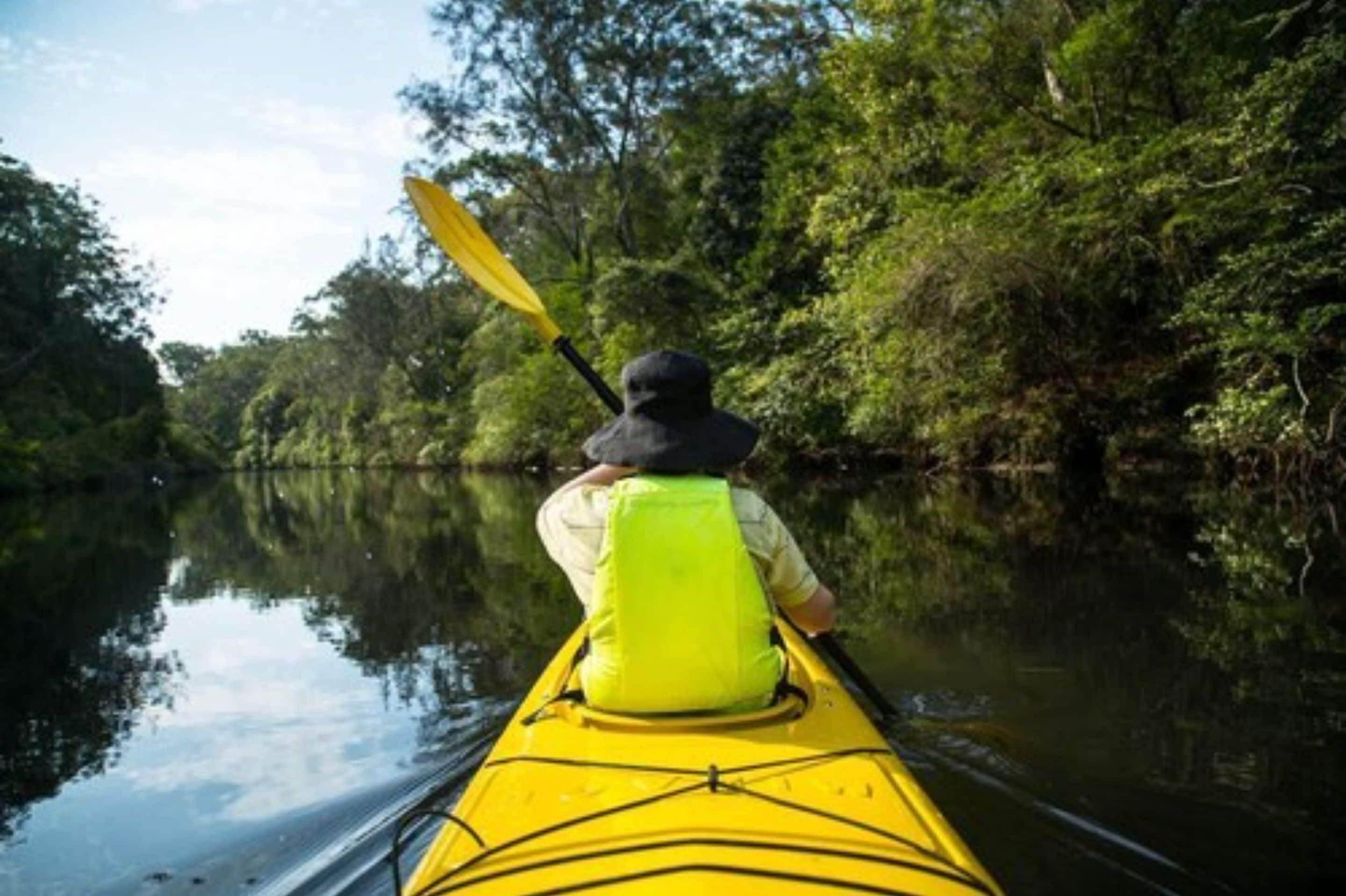 Una persona remando en kayak por un río tranquilo rodeado de abundante vegetación.