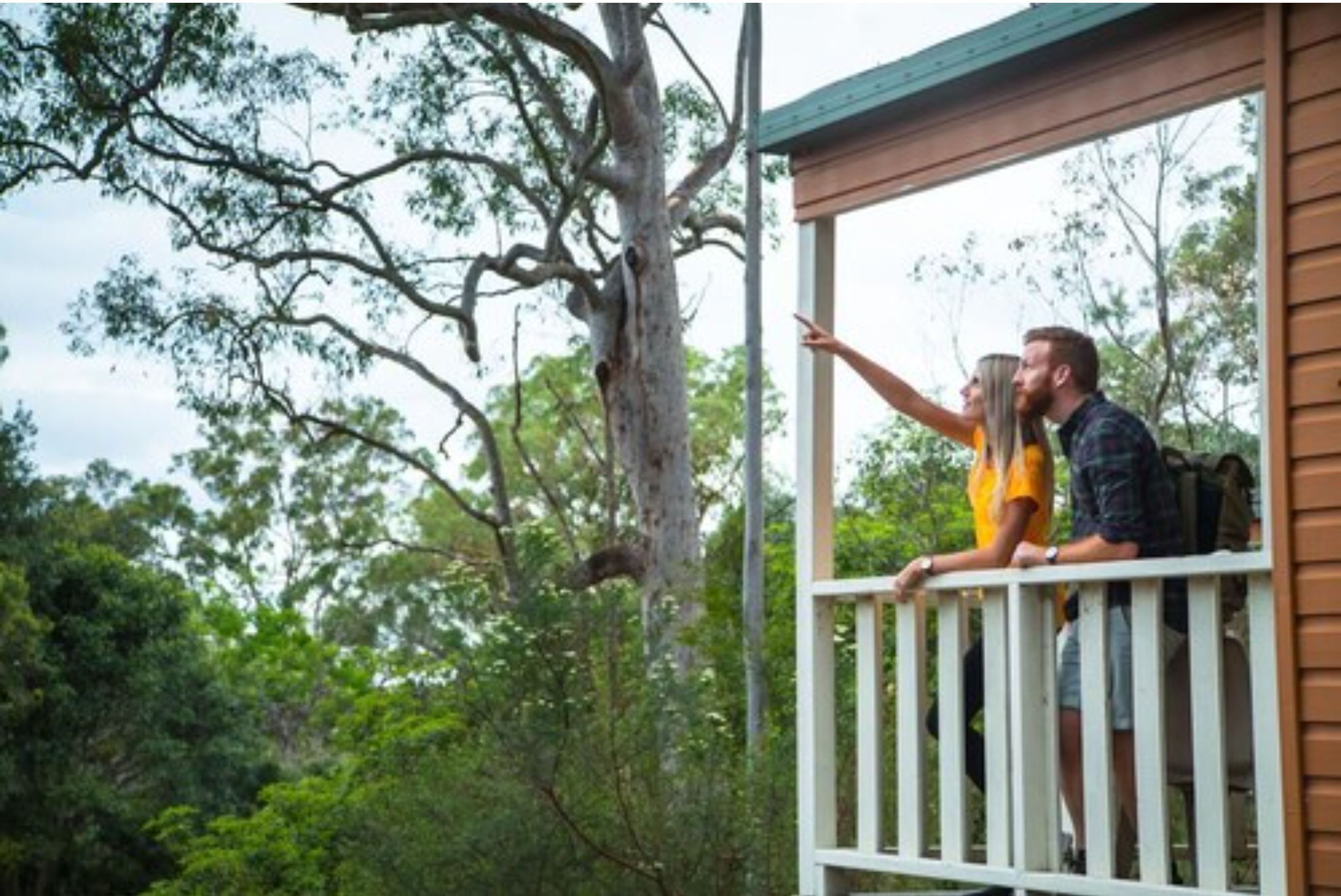 A wooden deck with a railing, surrounded by lush greenery and trees.