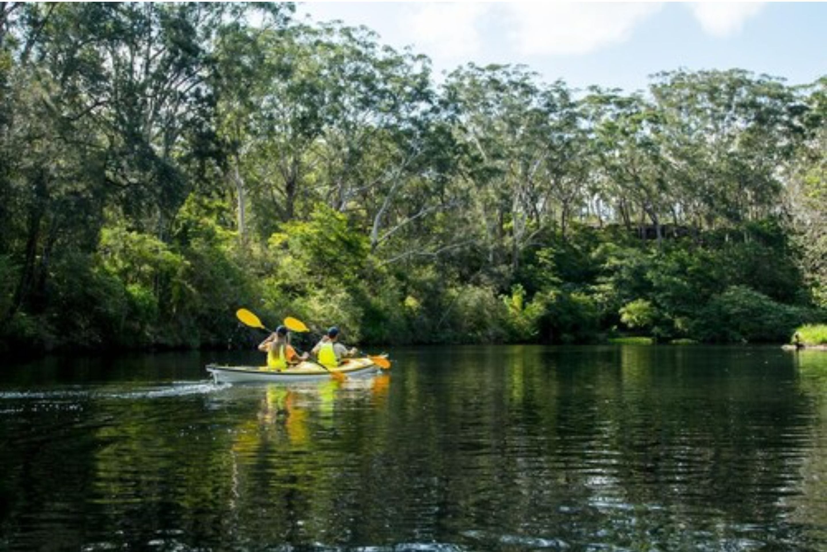 A kayak on a calm river surrounded by dense greenery.