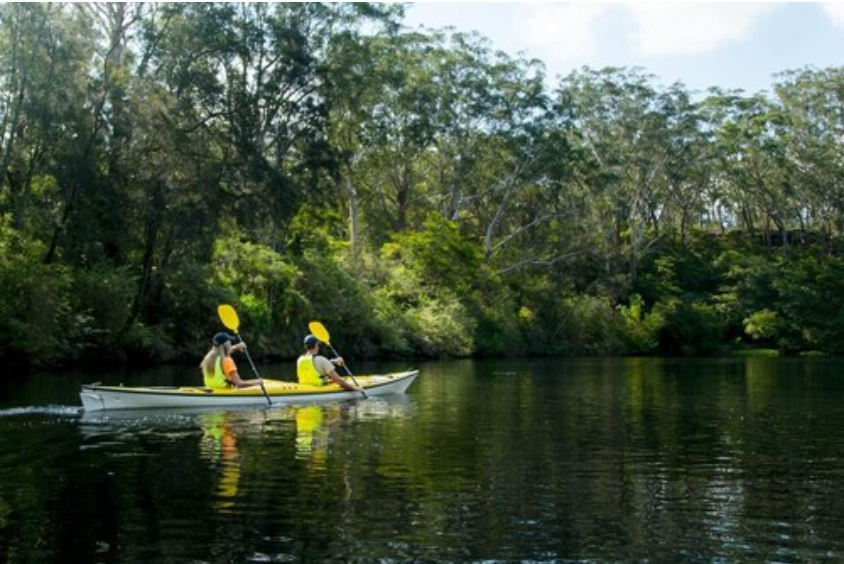 Un kayak sur une rivière paisible, entouré d’une végétation luxuriante.