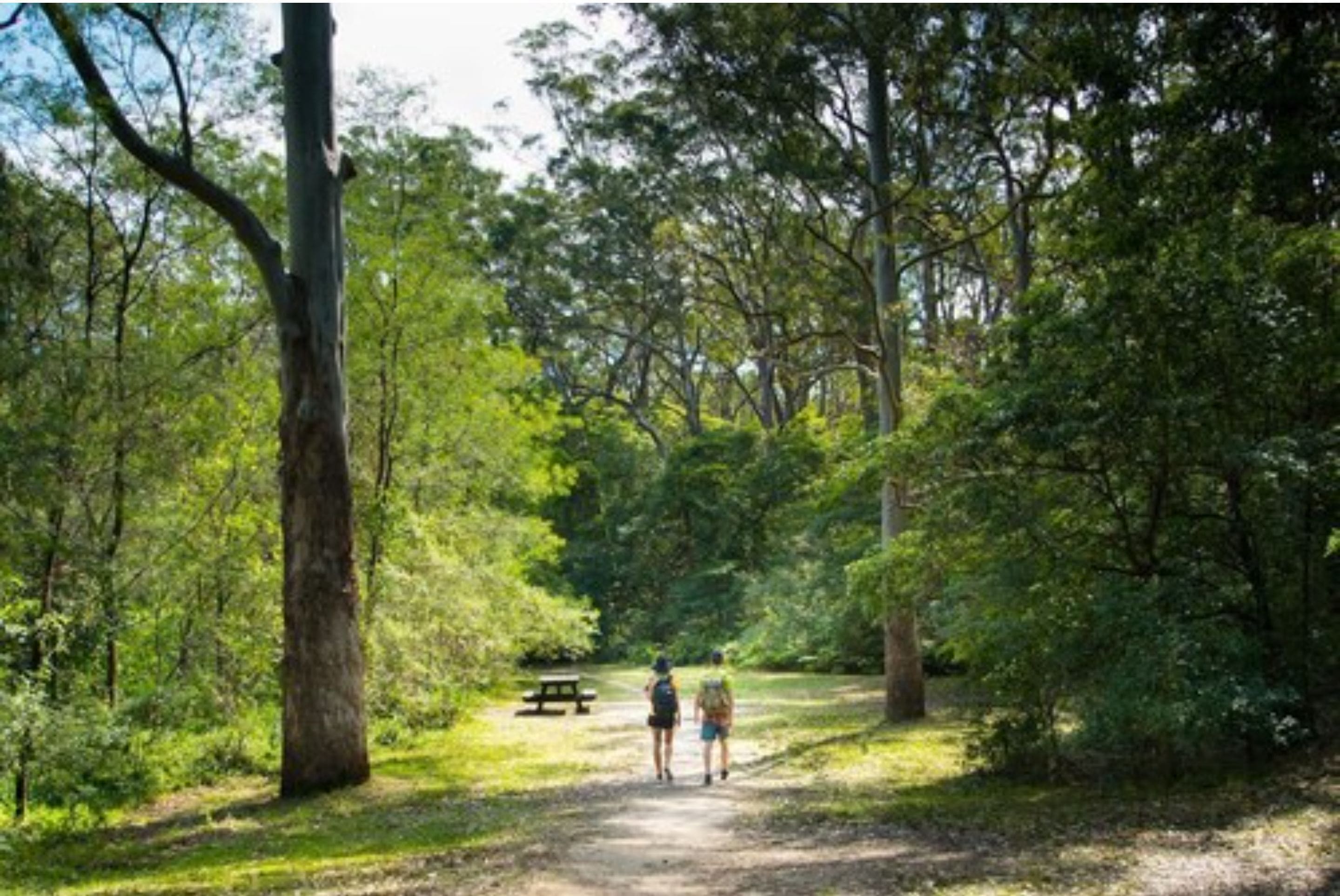 A forested path with a picnic table and two people walking away from the camera.