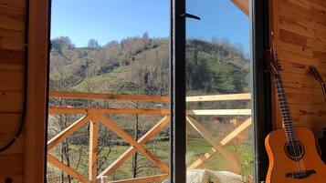 Vistas desde la habitación