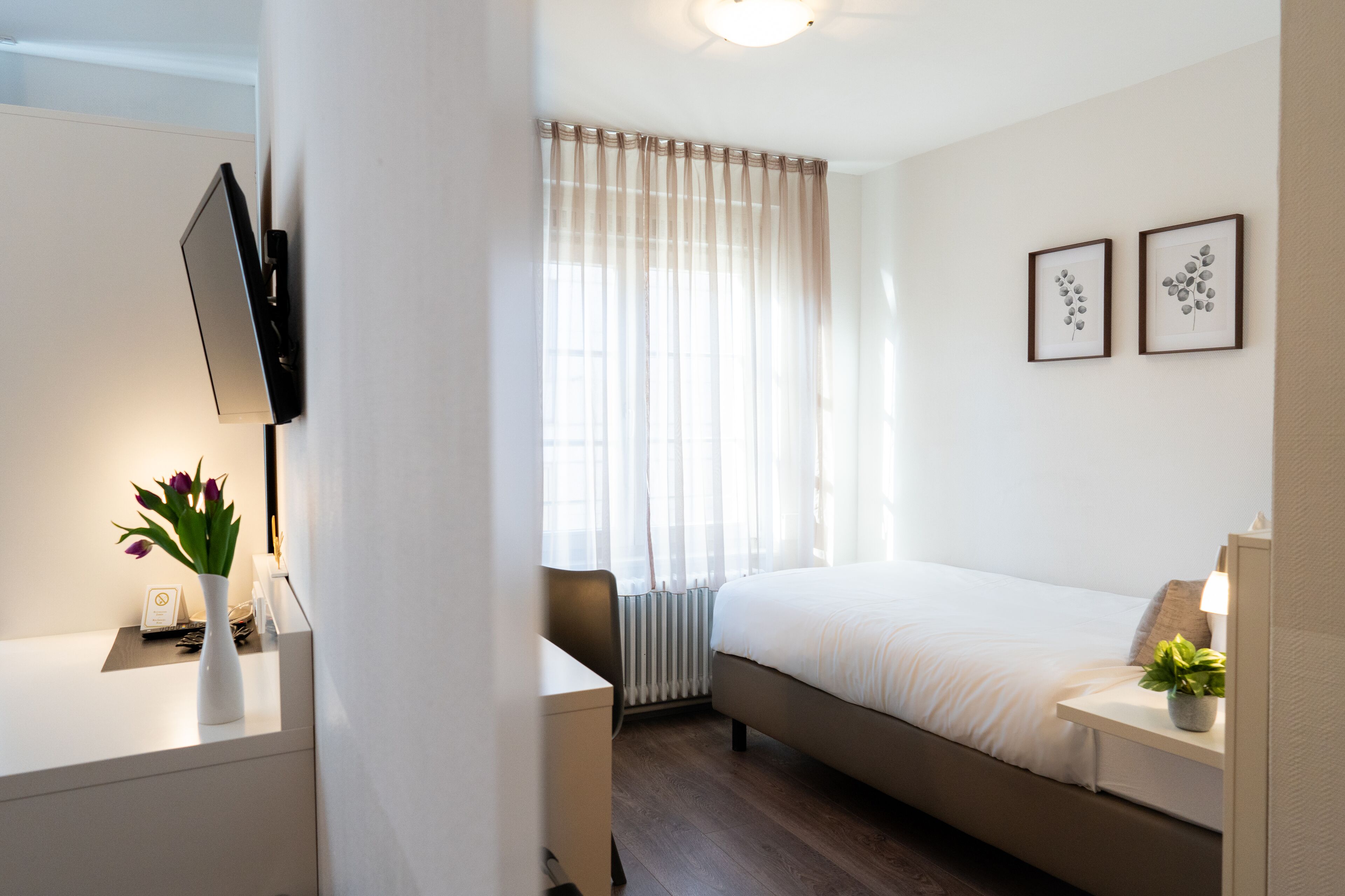 Une chambre d’hôtel moderne équipée d’un lit, d’une table de chevet, d’un bureau avec une chaise, d’un téléviseur fixé au mur et d’une fenêtre avec des rideaux légers.