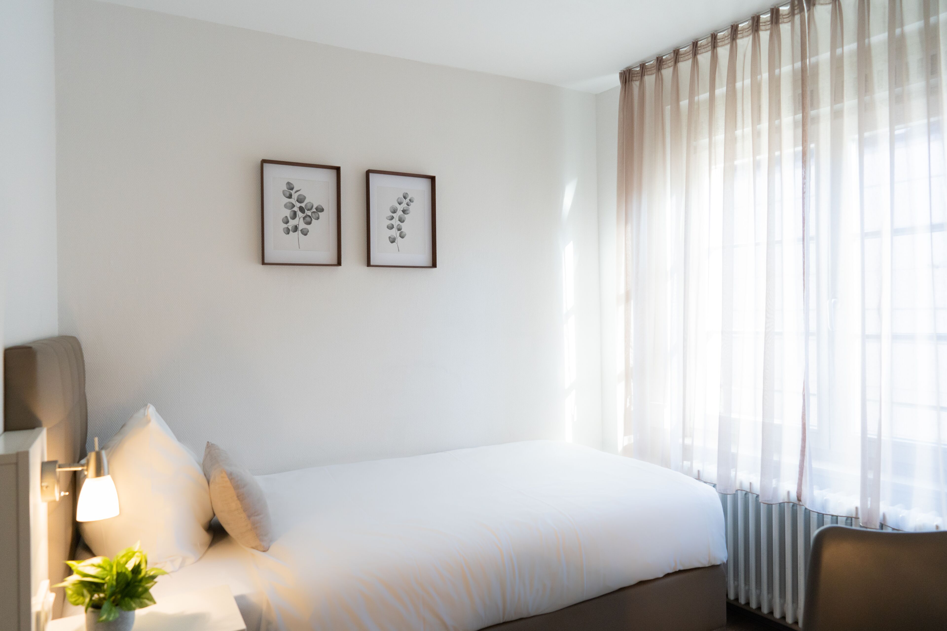 A hotel room with a bed, a bedside lamp, a potted plant, and two framed pictures on the wall.