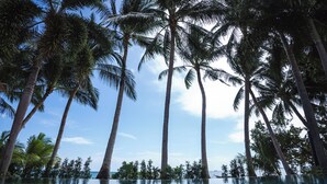 A clear view of an infinity pool with tall palm trees surrounding it. - Samahita Retreat Koh Samui - SHA Plus (Koh Samui)