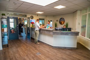 A reception area with a counter, a computer, and a plant. - Europarcs IJsselmeer (Medemblik)