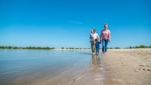 A beach scene with a clear sky, calm water, and a distant shoreline. - Europarcs IJsselmeer (Medemblik)