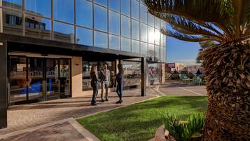 A modern building with large glass windows, a paved courtyard, and a palm tree.