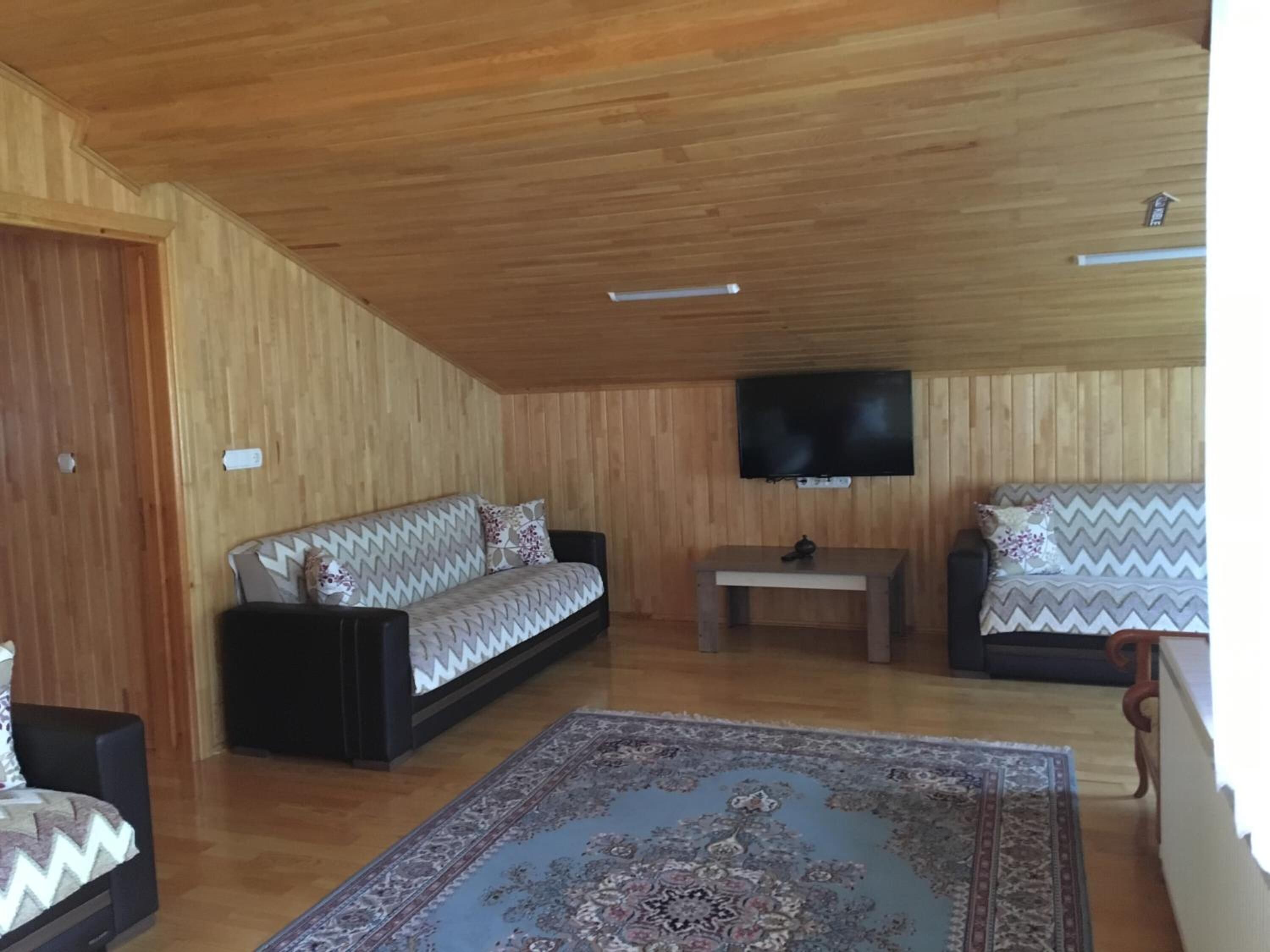 A wooden-paneled room with a sofa, a television, and a patterned rug.