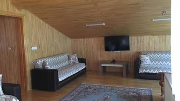 A wooden-paneled room with a sofa, a television, and a patterned rug.