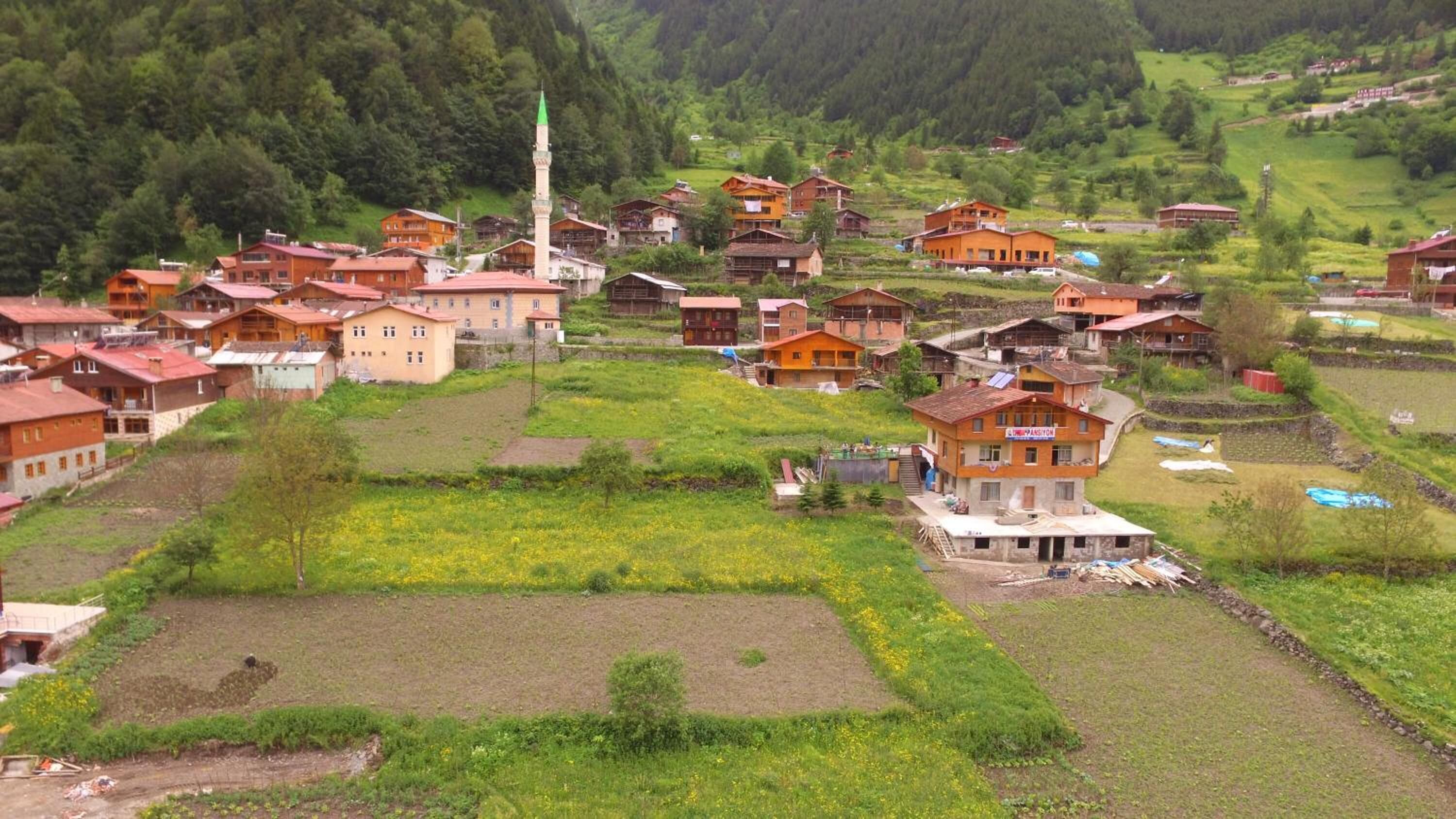 Un pueblo con casas tradicionales, una mezquita y campos en terrazas.