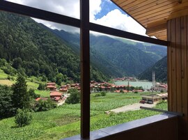 Vista desde la propiedad