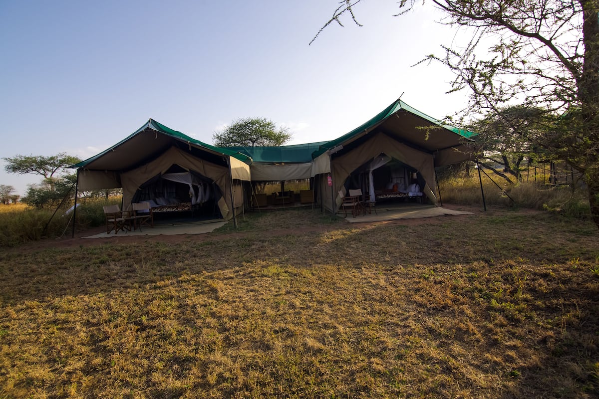 A safari lodge with two tents connected by a central structure.