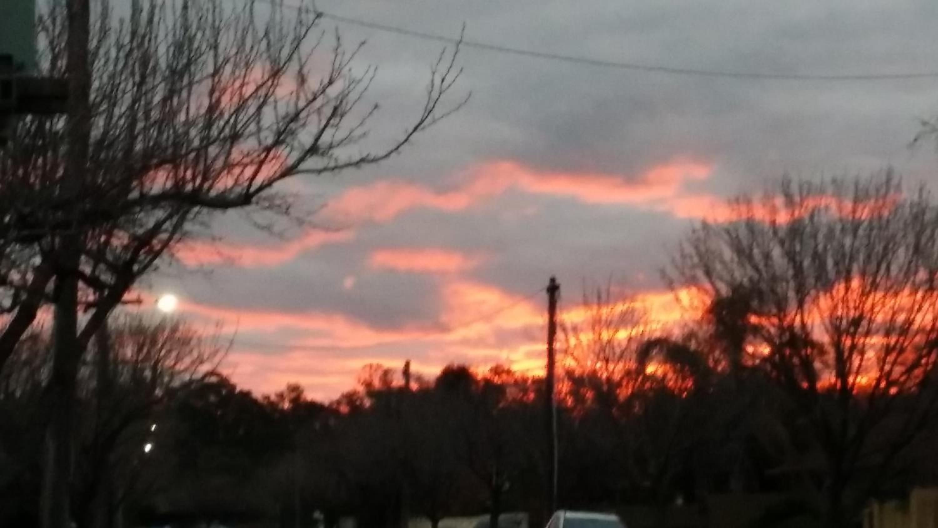 A sunset with a clear sky, trees, and a streetlight.
