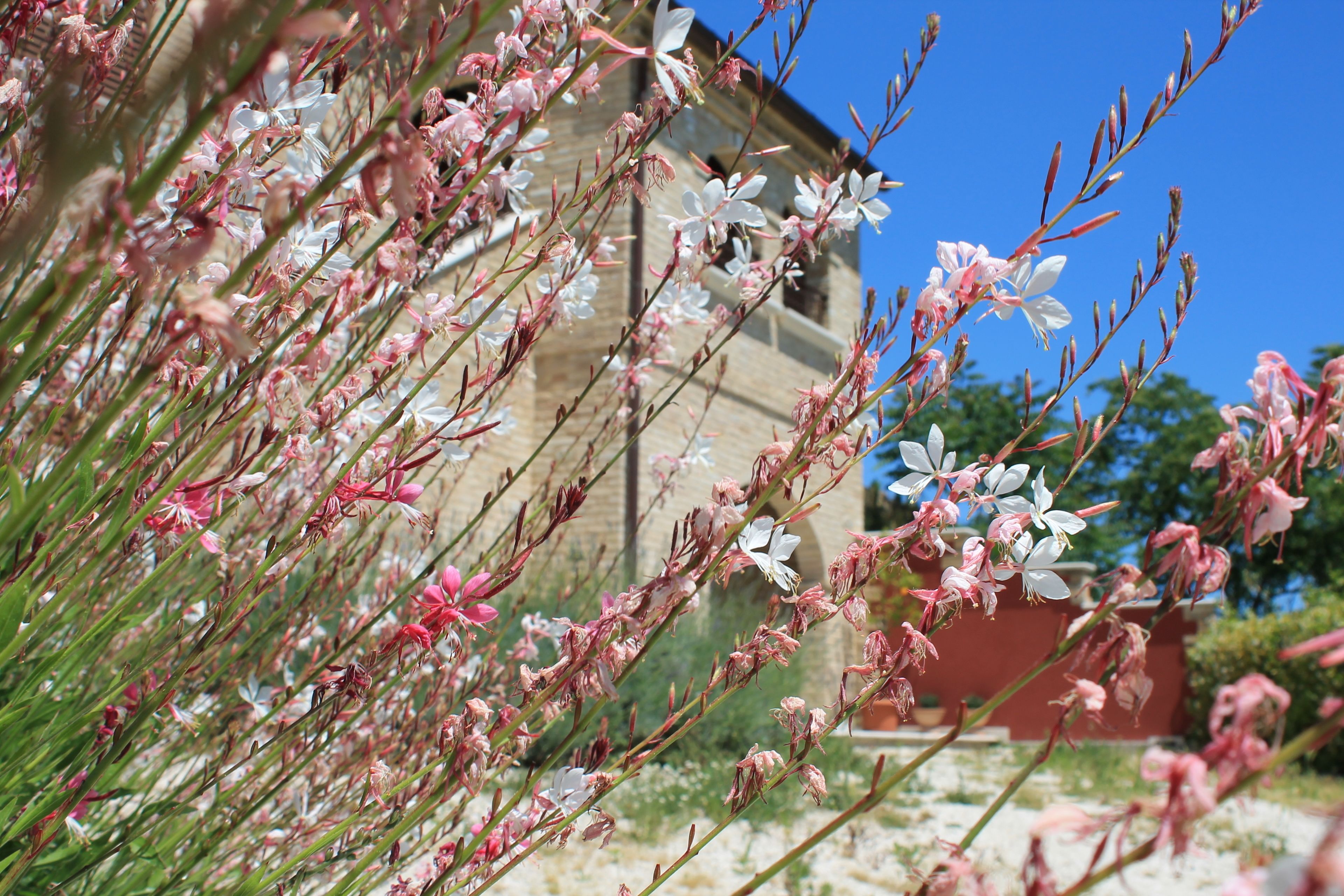 Photo - Dimora Rosso Piceno