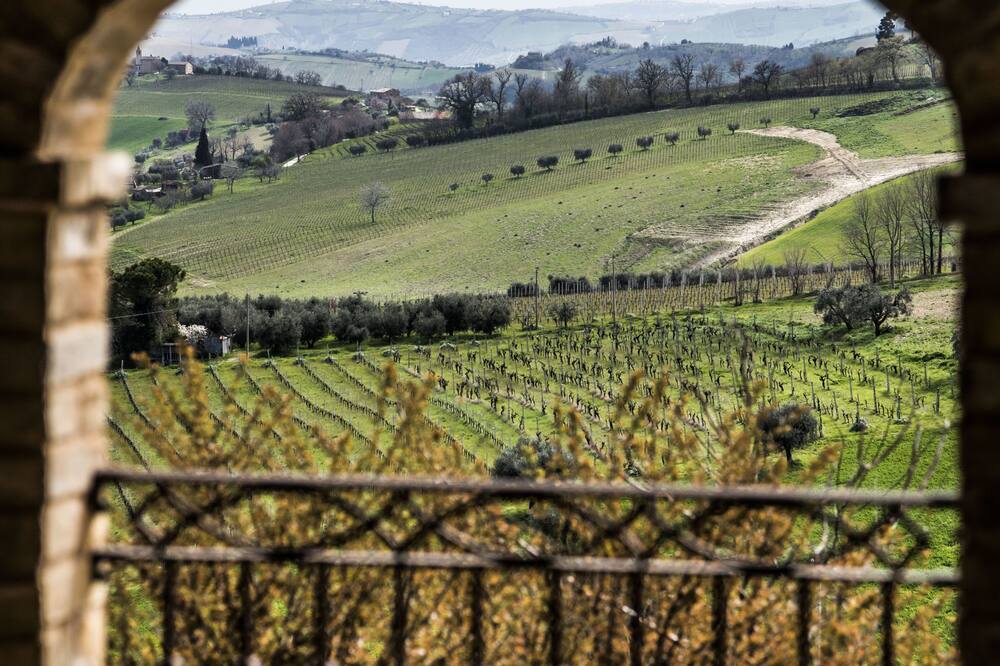 Dimora Rosso Piceno - Offida
