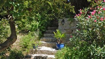 Jardin
