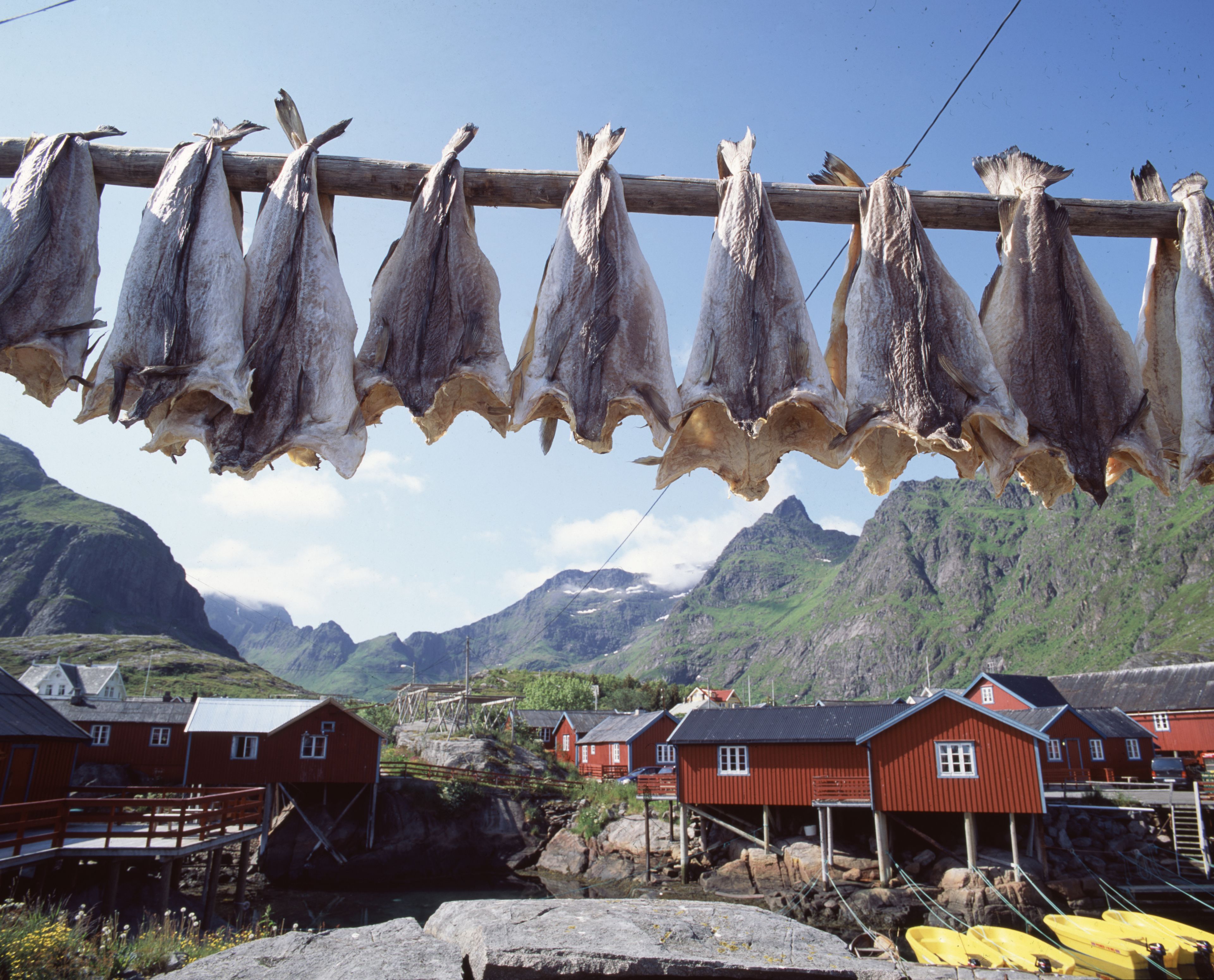 A coastal village with red houses, a drying rack of fish, and a mountainous backdrop.