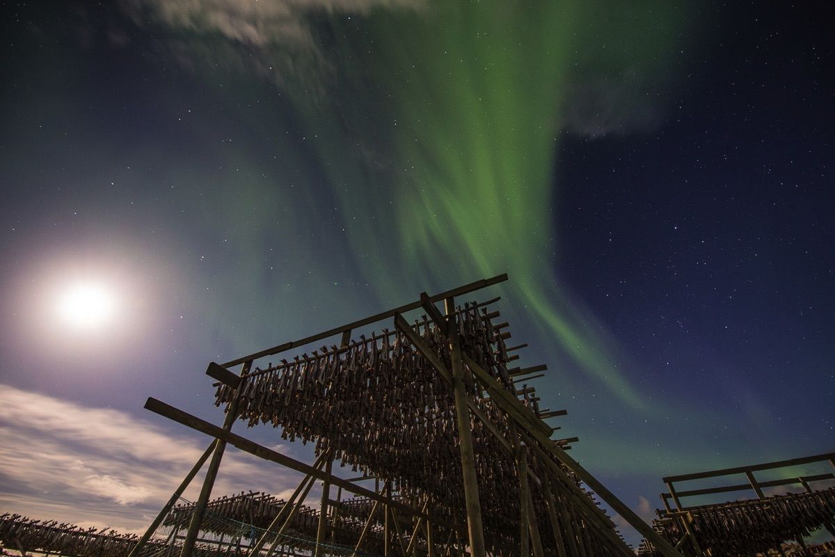 A night sky with the Northern Lights and a full moon.