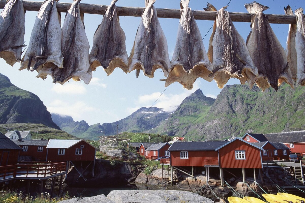 A coastal village with red wooden houses, a drying rack of fish, and a mountainous backdrop.