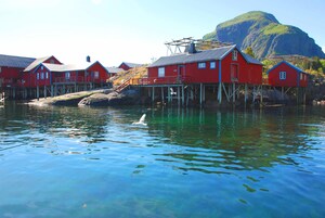 Deluxe Cabin, 4 Bedrooms | View from room