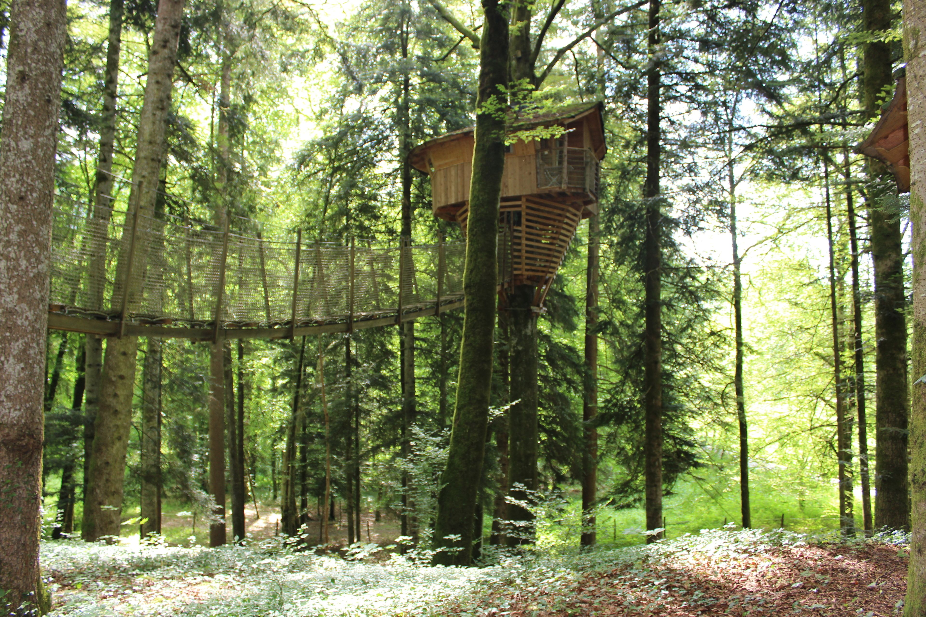 A treehouse in a forest with a wooden platform and a rope bridge.