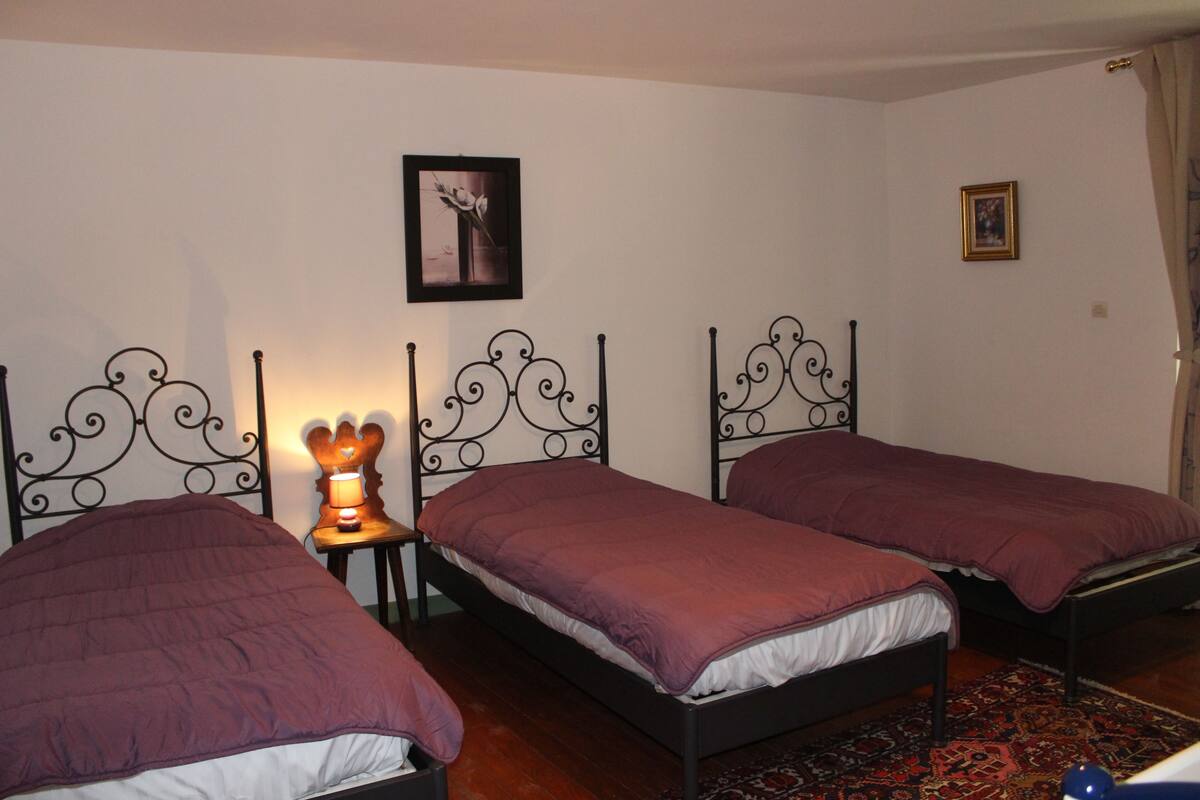 A room with three beds, each with a purple bedspread, a small table with a lamp, and a patterned rug.