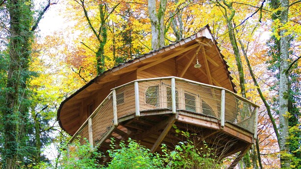 A wooden treehouse with a balcony, surrounded by autumn foliage.