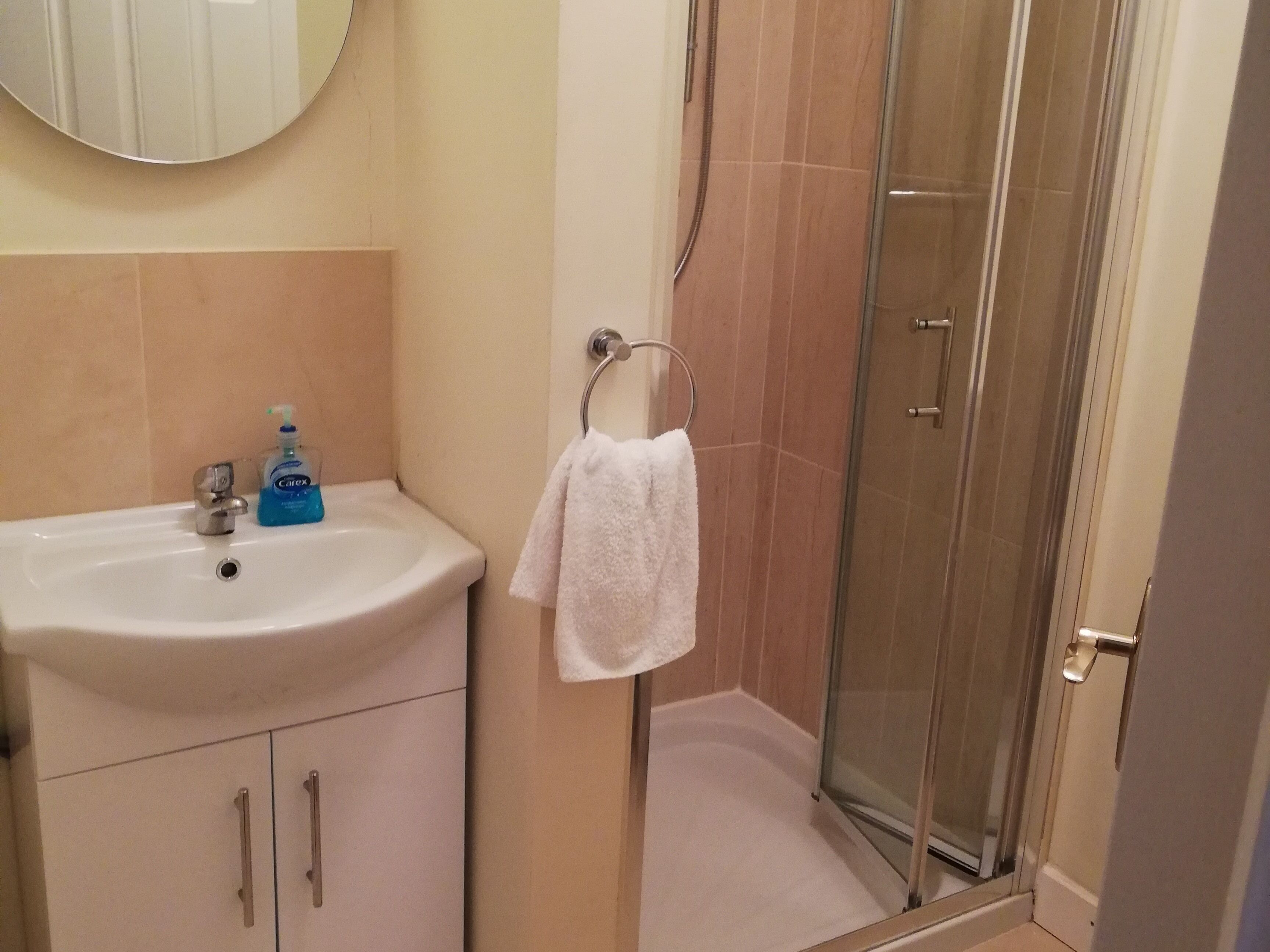 A bathroom with a sink, mirror, and glass shower enclosure.