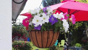 A hanging flower basket with white, purple, and pink flowers, a red umbrella, and outdoor furniture. - The Vee B&B (Waterford)