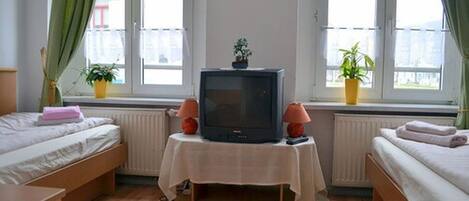 A bedroom with two beds, a television on a table, and potted plants by the windows.