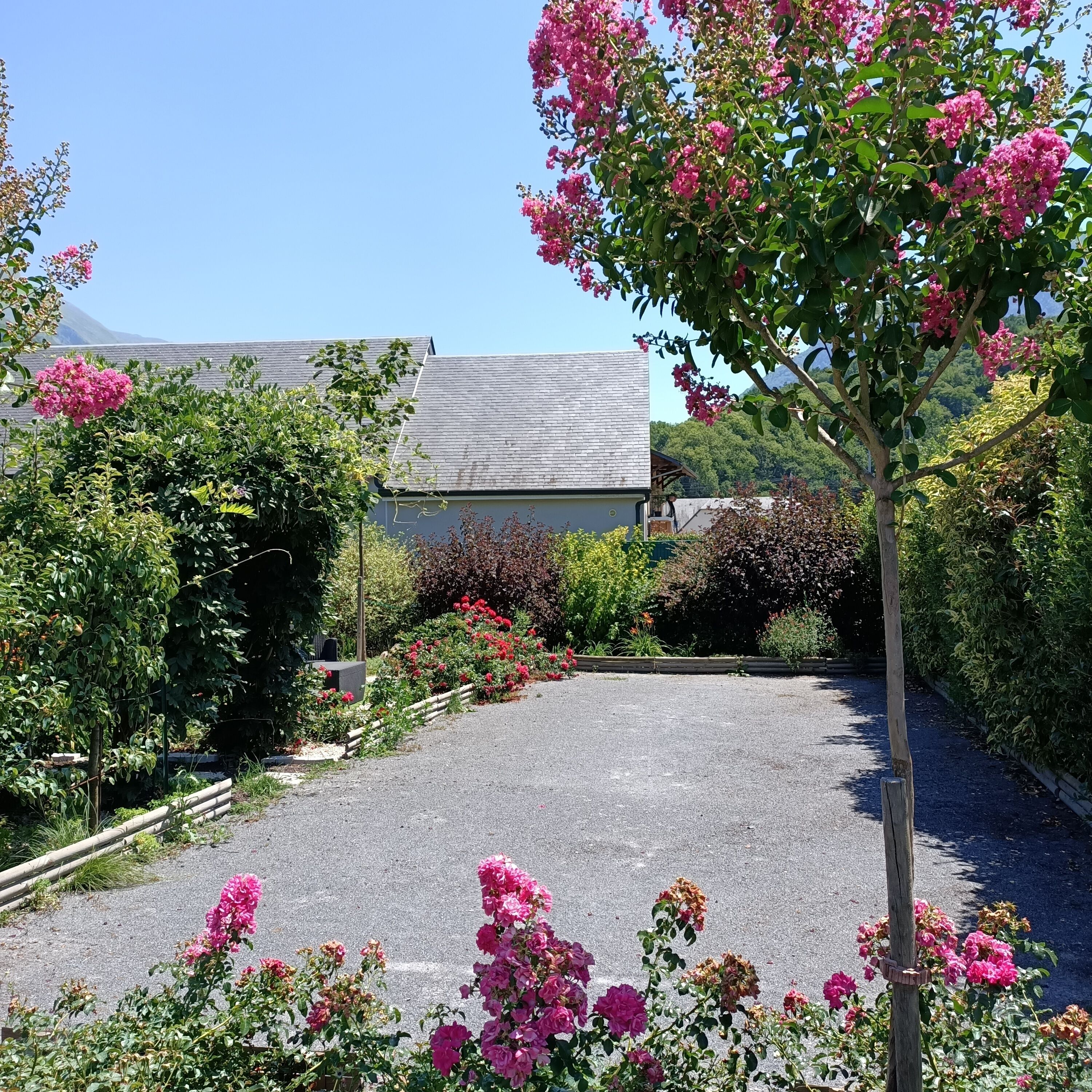 A gravel driveway leading to a house with a sloped roof, surrounded by lush greenery and flowering plants.