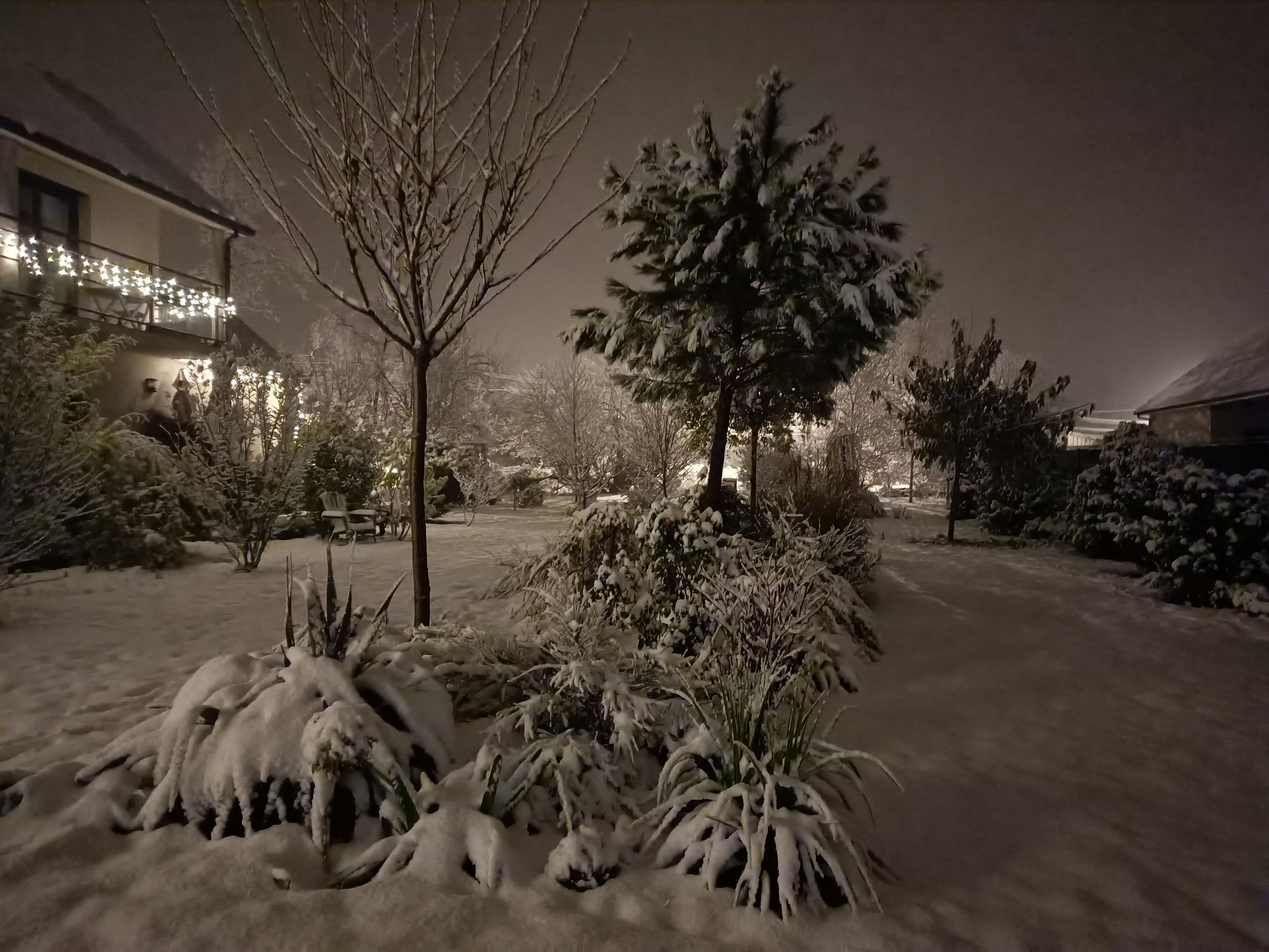 Un jardín cubierto de nieve con un árbol y arbustos, una silla y un edificio con luces al fondo.