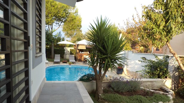 A swimming pool with a stone border, surrounded by a garden with a palm tree and various plants. - Gens Mundi B&B (Rome)