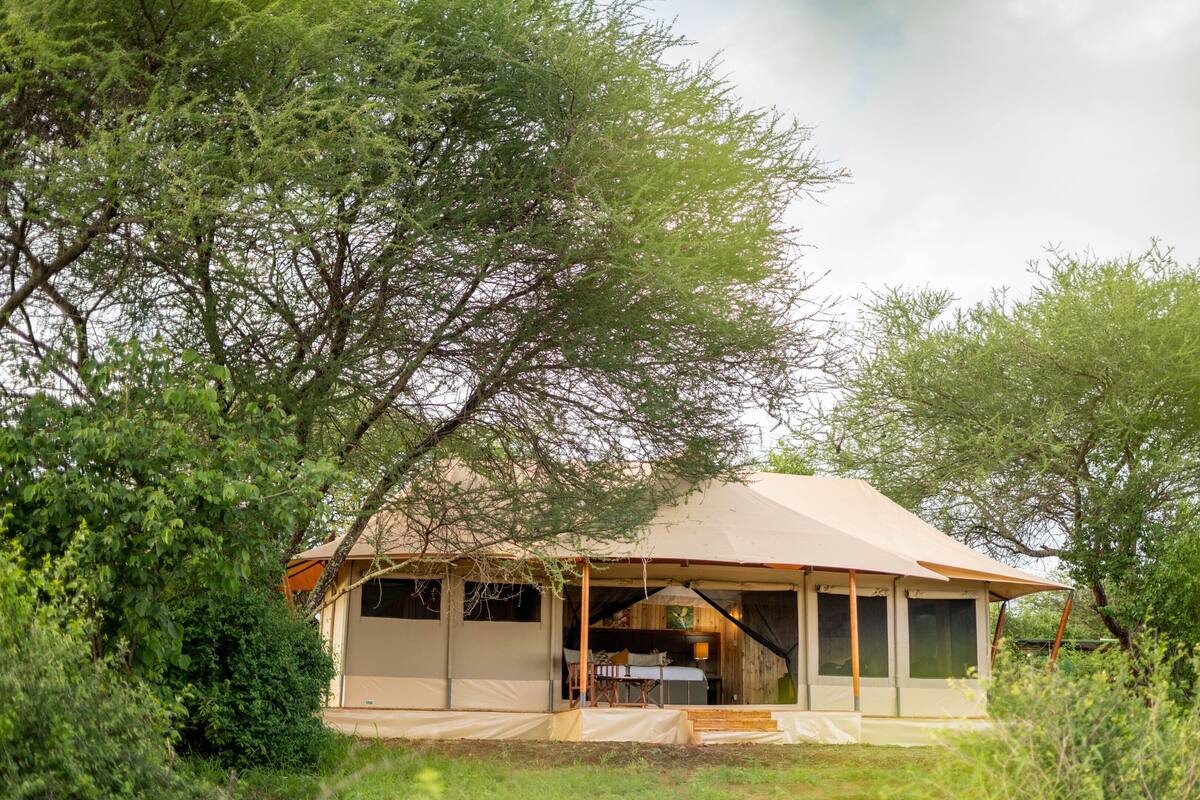 Un lodge de safari doté d’un espace extérieur couvert avec des sièges, d’une chambre avec un lit et une fenêtre, et d’une salle de bain avec douche.