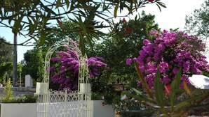 A garden with a white metal gate, purple flowers, and a stone wall. - Ulivi Al Sole - Charming B&B (Francavilla Fontana)