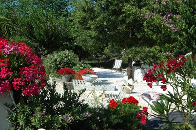 Ulivi Al Sole - Charming B&B