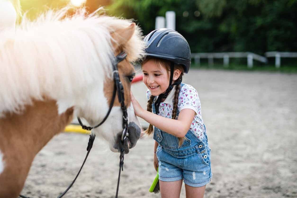 Una persona interactuando con un caballo en un entorno al aire libre.