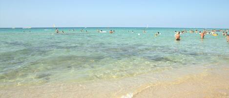 Una playa con aguas cristalinas y una orilla arenosa.