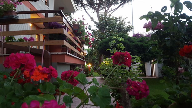 Un jardín con flores vibrantes y una estructura de madera.