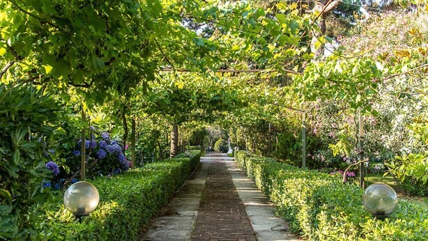 A garden pathway with a brick surface, surrounded by lush greenery and flowering plants. - Villa Hermes (San Ferdinando)