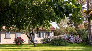 A house with a garden, a lawn, and a tree in front. - Villa Hermes (San Ferdinando)