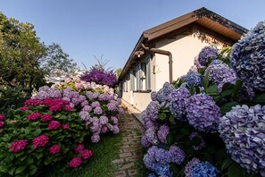 A house with a brick pathway leading to the entrance, surrounded by vibrant hydrangea flowers in shades of pink and purple. - Villa Hermes (San Ferdinando)