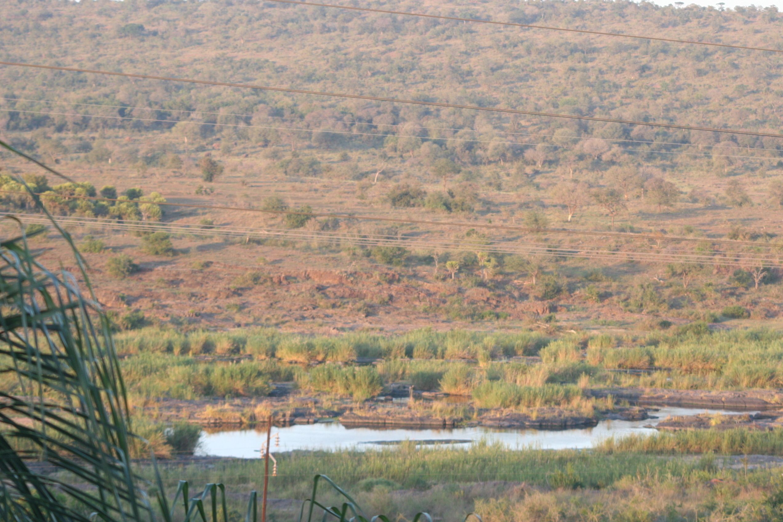 Un paisaje con una masa de agua y vegetación.